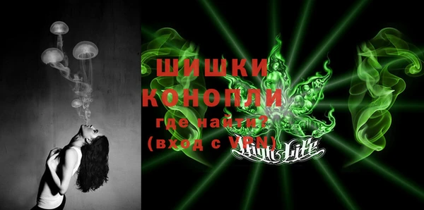 ГАЛЛЮЦИНОГЕННЫЕ ГРИБЫ Няндома