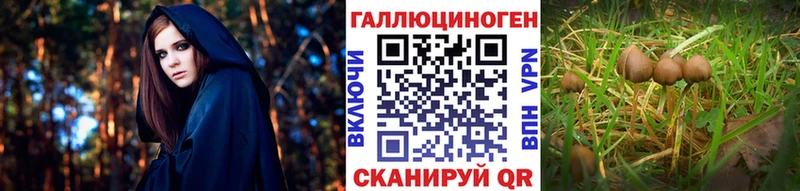 Галлюциногенные грибы прущие грибы  как найти закладки  дарк нет телеграм  Туапсе  blacksprut ТОР 