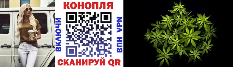 Шишки марихуана Amnesia ссылка на мегу Туапсе